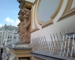 Противоприсадные шипы на фасаде здания (памятник архитектуры).